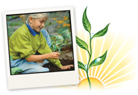 Barbara Brighter Planting
