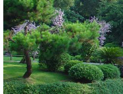 park