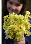 Spring Bouquet