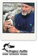 Puffin Kress